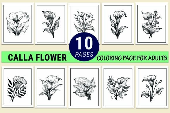 Calla Flower Coloring Pages for Adults: Premium Graphics & Designs