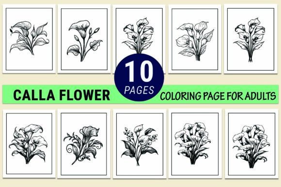 Calla Flower Coloring Pages for Kdp Graphics Review